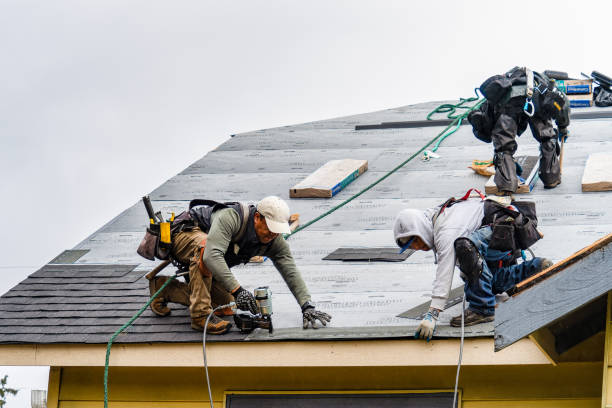 Professional Gutter Installation technician working in Bonanza, GA